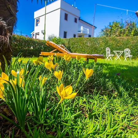 Guest house Hajpek Ruza